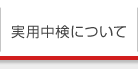 実用中検について